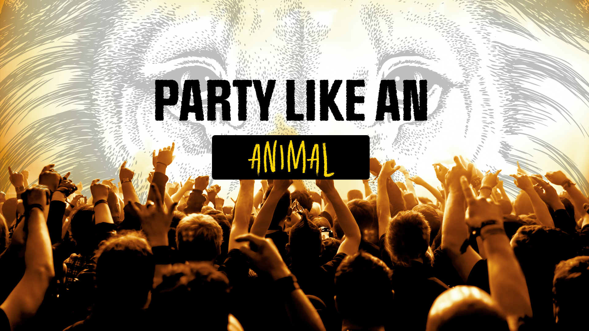 Party Like An Animal